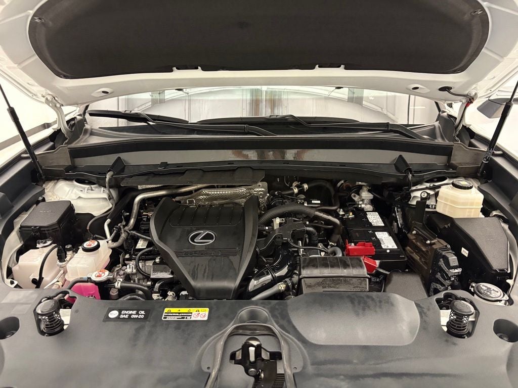 2024 Lexus TX 350